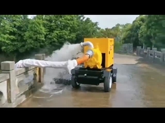 Güçlü Sel Koruma Pompaları Eşsiz Performans için Hız 1450r/min