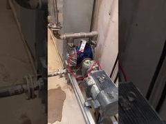 100L/dak Endüstriyel Diyaframlı Pompa Elektrikli Kimyasal İşleme Pompaları