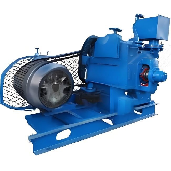 Rotor çapı 300-1480mm Yüksek sıcaklıklı ortamlar için su halka vakum pompası