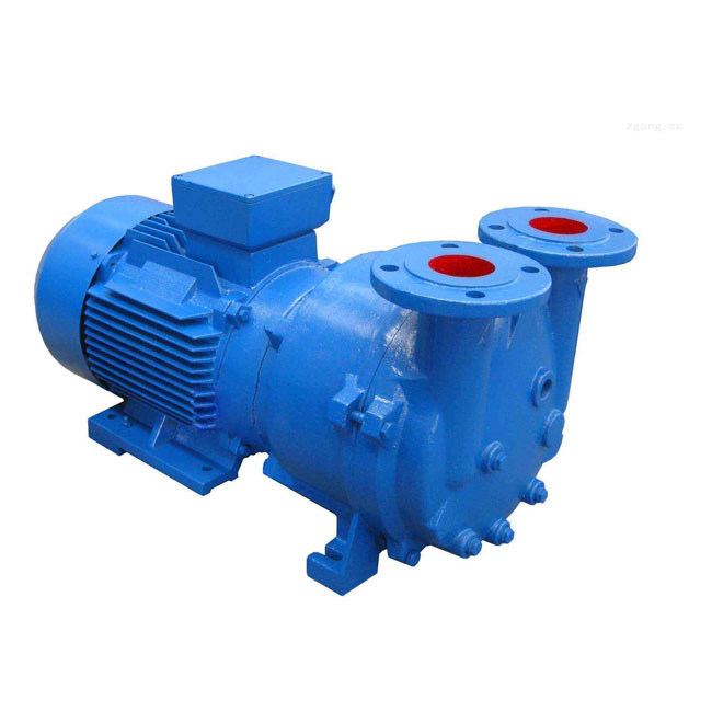 Rotor çapı 300-1480mm Yüksek sıcaklıklı ortamlar için su halka vakum pompası